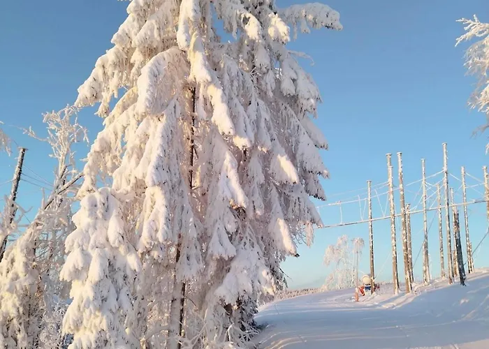 Anil's Prázdninový dům
